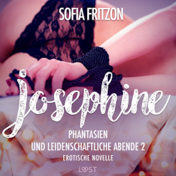 Josephine: Phantasien und leidenschaftliche Abende 2 - Erotische Novelle