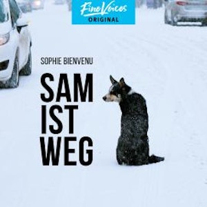 Sam ist weg (Ungekürzt)