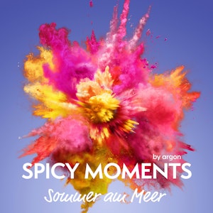 Der Sommer am Meer - Erotische Geschichte - spicy moments, Band 15 (Ungekürzte Lesung)