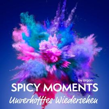 Unverhofftes Wiedersehen - spicy moments, Band 2 (Ungekürzte Lesung)