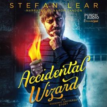 Accidental Wizard (Unadbridged)