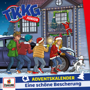 Adventskalender - Eine schöne Bescherung