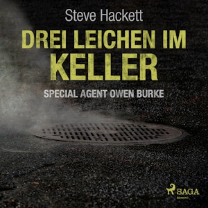 Drei Leichen im Keller (Special Agent Owen Burke 1)