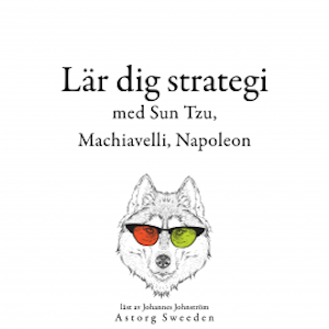 Lär dig strategi med Sun Tzu, Machiavelli, Napoleon ...