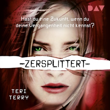 Zersplittert