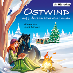 Ostwind. Auf großer Reise & Das Winterwunder, THiLO