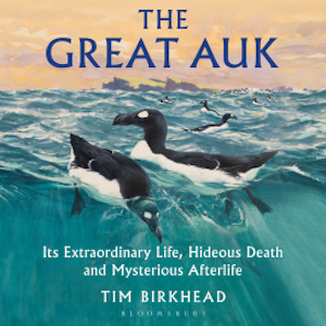 The Great Auk, Tim Birkhead
