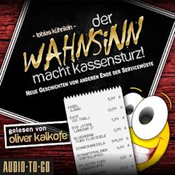 Der Wahnsinn macht Kassensturz! - Die Wahnsinn-Reihe, Band 2 (ungekürzt)