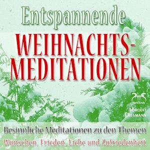 Entspannende und Besinnliche Weihnachts-Meditationen - zu den Themen: Wünschen, Frieden, Liebe und Zufriedenheit (Ungekürzt), Franziska Diesmann, Torsten Abrolat