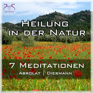 Heilung in der Natur - 7 einzigartige geführte Meditationen zum Auftanken im Alltag, Franziska Diesmann, Torsten Abrolat