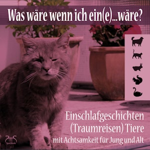 Was wäre wenn ich ein(e)...wäre? Einschlafgeschichten (Traumreisen) Tiere mit Achtsamkeit für Jung und Alt, Torsten Abrolat