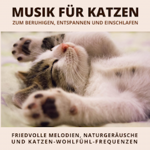 Musik für Katzen zum Beruhigen, Entspannen und Einschlafen