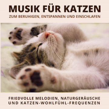 Musik für Katzen zum Beruhigen, Entspannen und Einschlafen