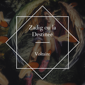 Zadig ou la Destinée