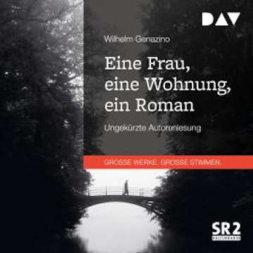 Eine Frau, eine Wohnung, ein Roman (Ungekürzt)