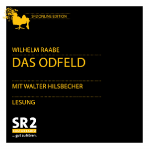 Das Odfeld