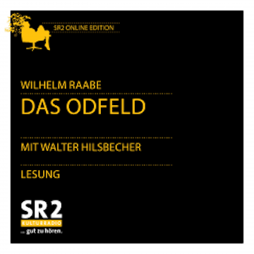 Das Odfeld