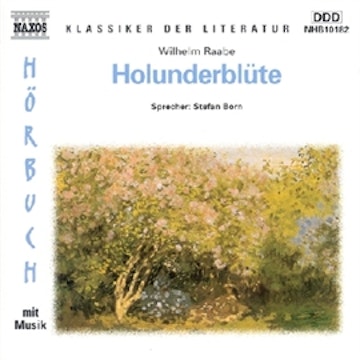 Holunderblüte