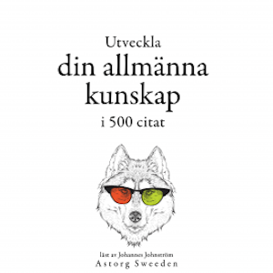 Utveckla din allmänna kunskap i 500 offerter