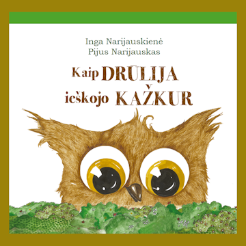 Kaip Drūlija ieškojo KAŽKUR audiobook, Inga Narijauskienė, Pijus Narijauskas