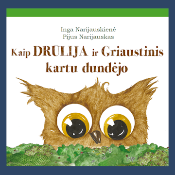 Kaip Drūlija ir Griaustinis kartu dundėjo audiobook, Inga Narijauskienė, Pijus Narijauskas
