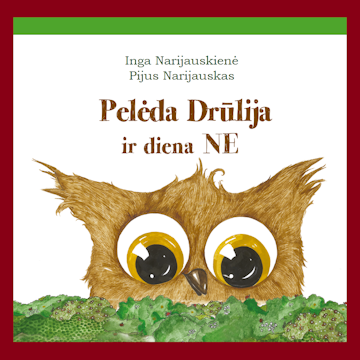 Pelėda Drūlija ir diena NE audiobook, Inga Narijauskienė, Pijus Narijauskas