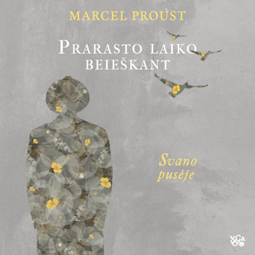 PRARASTO LAIKO BEIEŠKANT. Svano pusėje