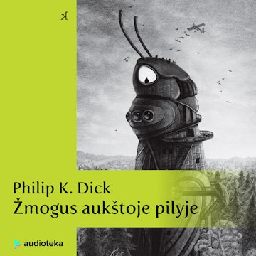 ŽMOGUS AUKŠTOJE PILYJE