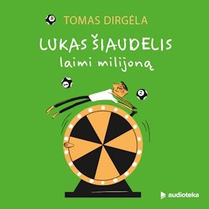 LUKAS ŠIAUDELIS LAIMI MILIJONĄ