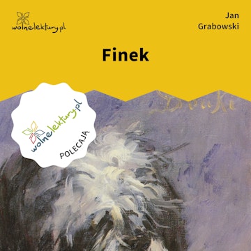 Finek