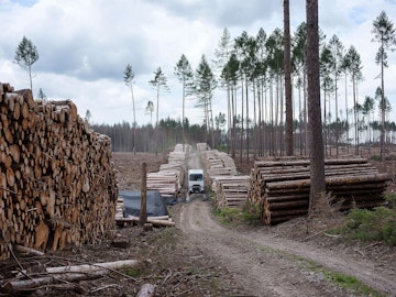 Není to soutěž, v otázkách klimatu prohráváme všichni