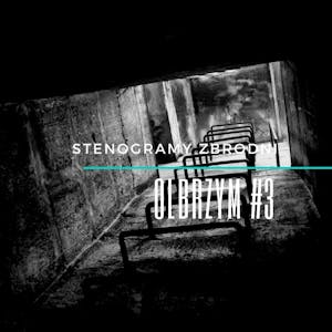 OLBRZYM #3 - kryminał, podcast, słuchowisko, antykryminał, Piotr Wielg