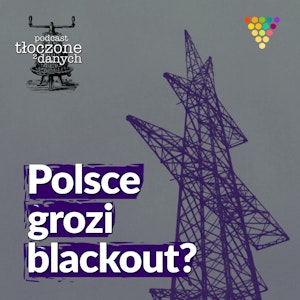 Czy Polsce grozi blackout?, Zespół GRAPE i przyjaciele