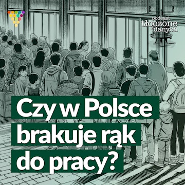 Czy w Polsce brakuje rąk do pracy? audiobook, Zespół GRAPE i przyjaciele