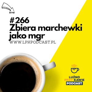 #266 - Zbiera marchewki jako mgr, NAAB.pl	Adam Borodo