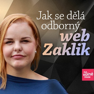 Petra Větrovská: Jak se dělá odborný obsahový web Zaklik