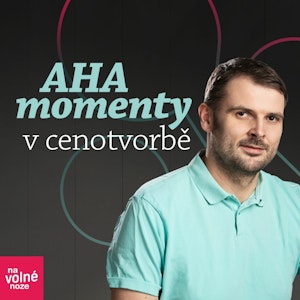 Roman Věžník: AHA momenty v cenotvorbě na volné noze