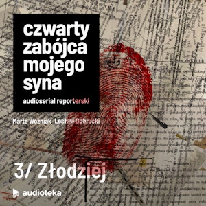 Odcinek 3: Złodziej