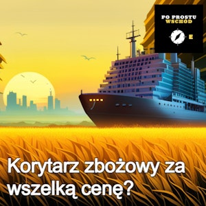 Ukraina. Czy warto zabiegać o porozumienie zbożowe z Rosją?