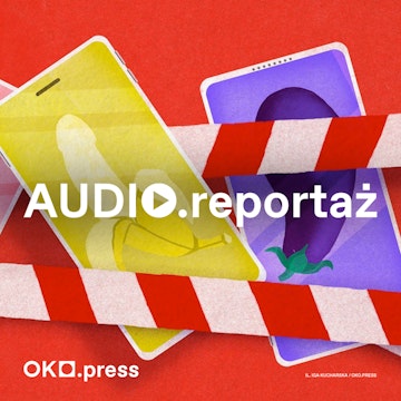 Telefon z penisem. Jak Niemcy i Austria radzą sobie (lub nie) z dick picami
