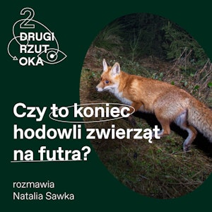Czy Karol Nawrocki podpisze ustawę zakazującą hodowli zwierząt na futra?, OKO.press