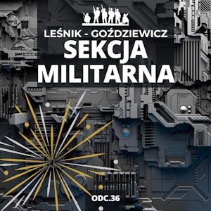 Ukraina za 20 lat w NATO? Polskie inwestycje w badania | Sekcja Militarna odc. 36