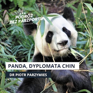 Dlaczego panda to najlepszy dyplomata Chin?, Mateusz Grzeszczuk