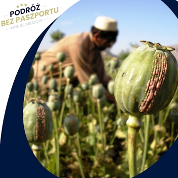 Afganistan – Uprawa maku i produkcja opium spadły o 95%