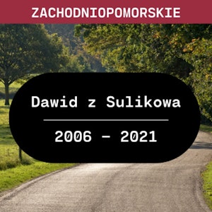 Zachodniopomorskie: Dawid z Sulikowa (2006 - 2021)