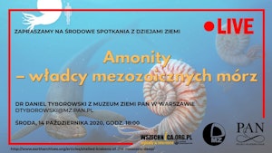 Amonity – władcy mezozoicznych mórz / Dr Daniel Tyborowski