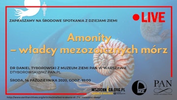 Amonity – władcy mezozoicznych mórz / Dr Daniel Tyborowski