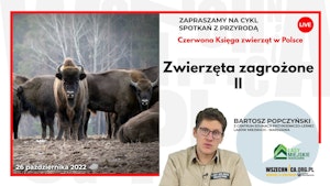 Zwierzęta zagrożone II / Bartosz Popczyński