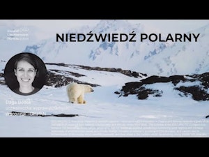 Niedźwiedź polarny / Dagmara Bożek