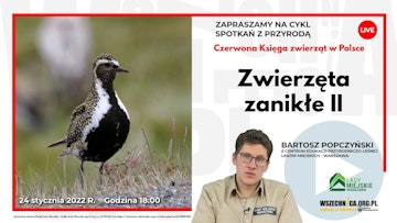 Zwierzęta zanikłe II / Bartosz Popczyński